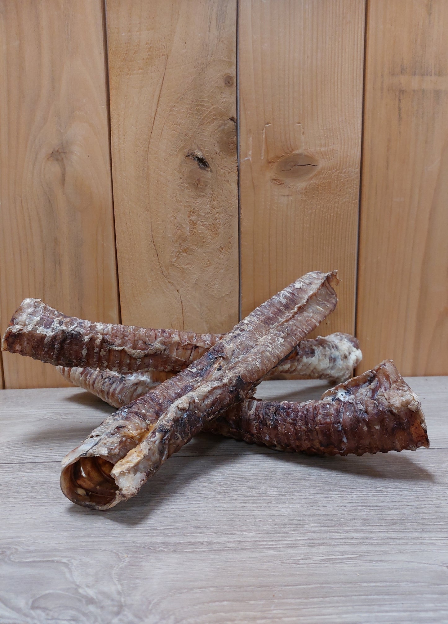 Bij-Zalme Luchtpijp groot (30cm)