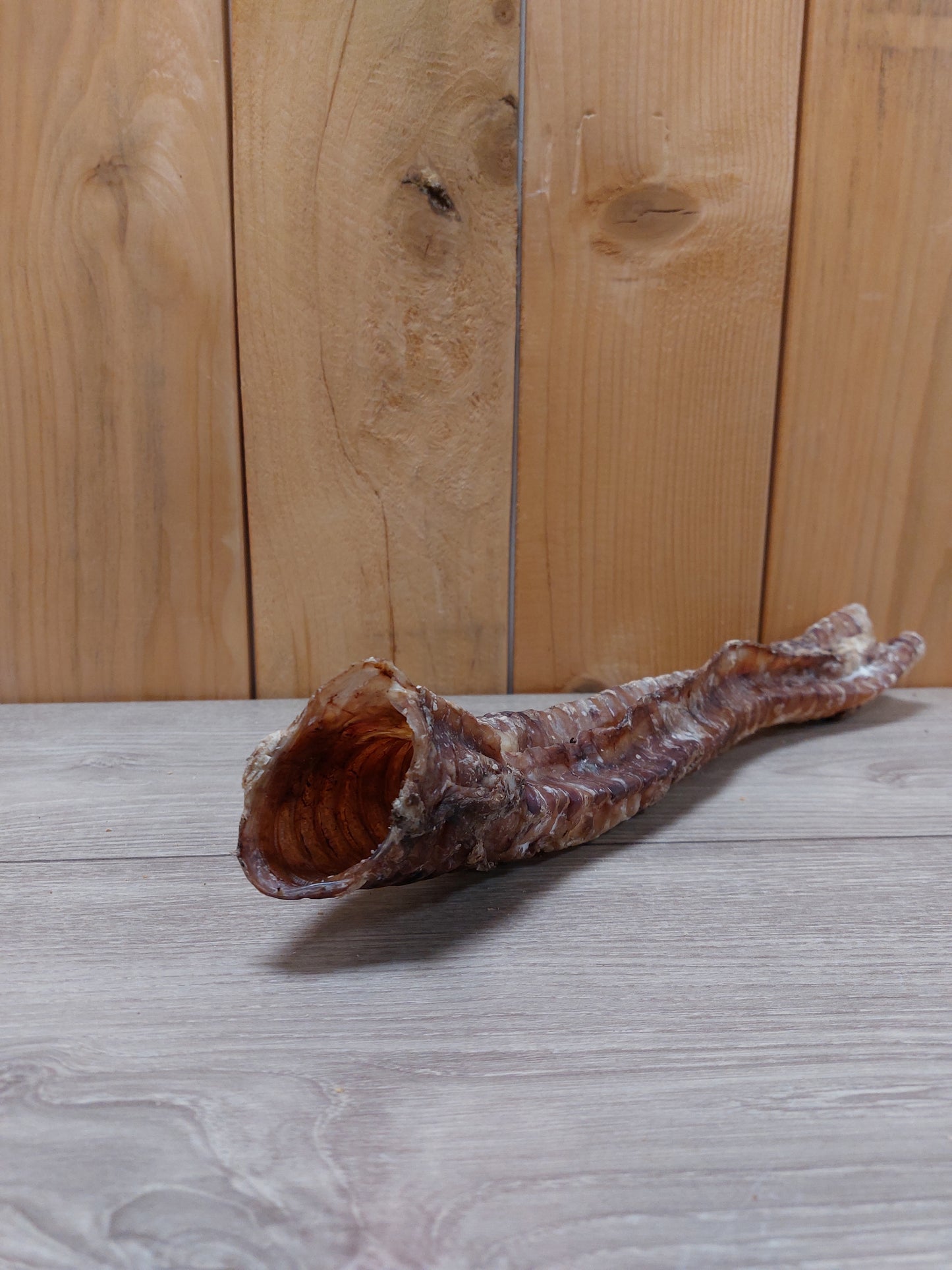 Bij-Zalme Luchtpijp groot (30cm)