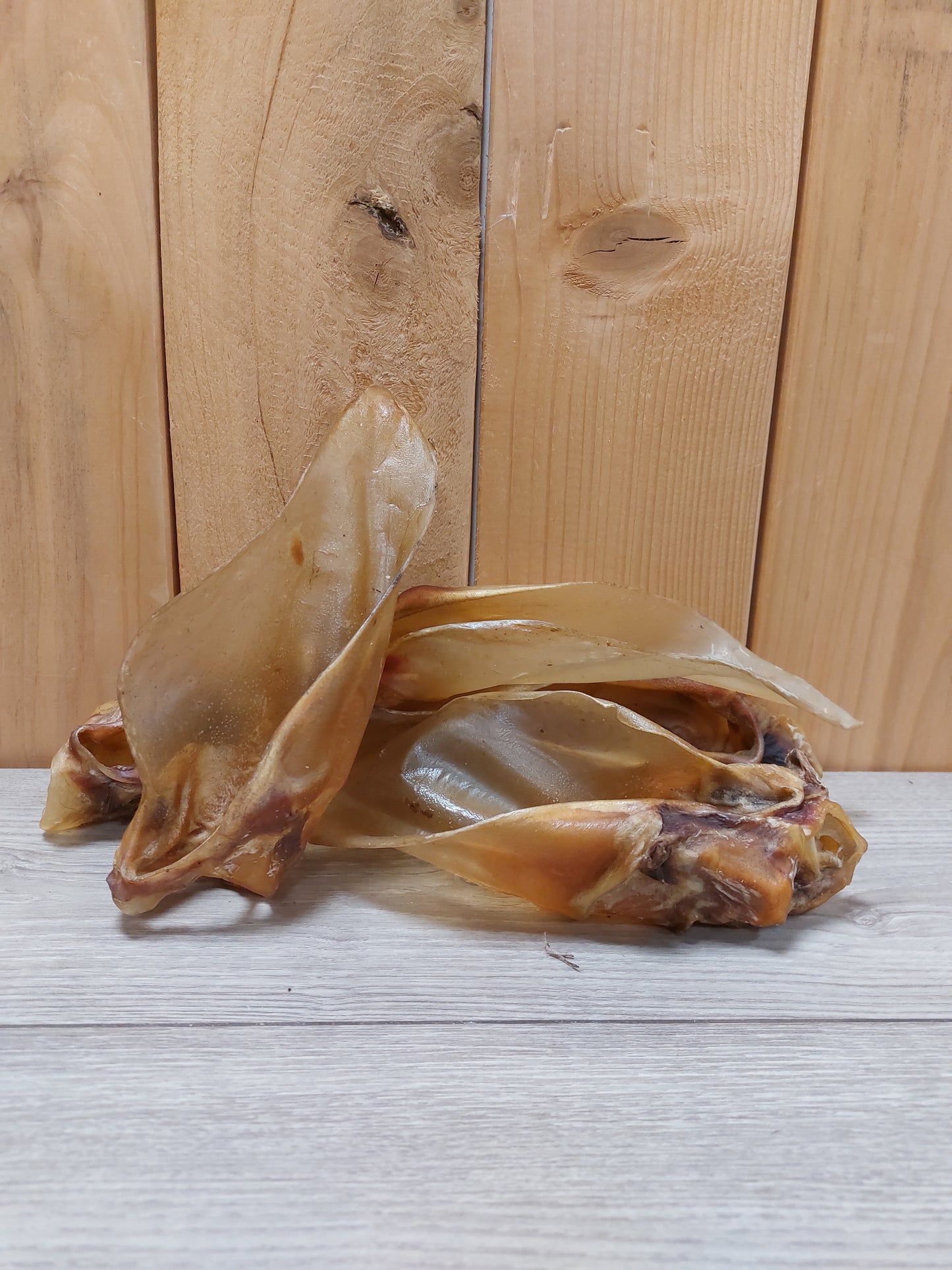 Bij-zalme Buffalo oor