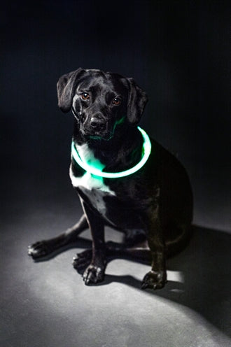Trixie Lichtgevende Halsband Usb Flash Light Oplaadbaar Tpu Groen
