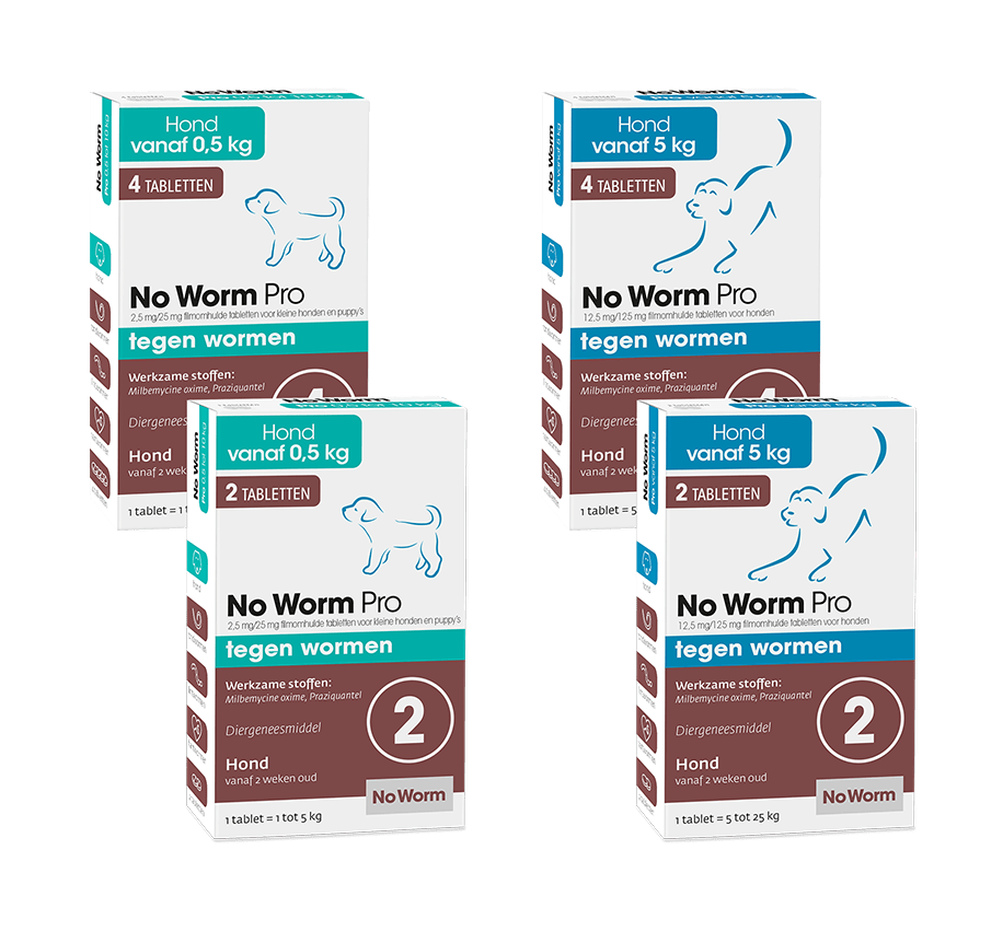 No Worm Pro Hond