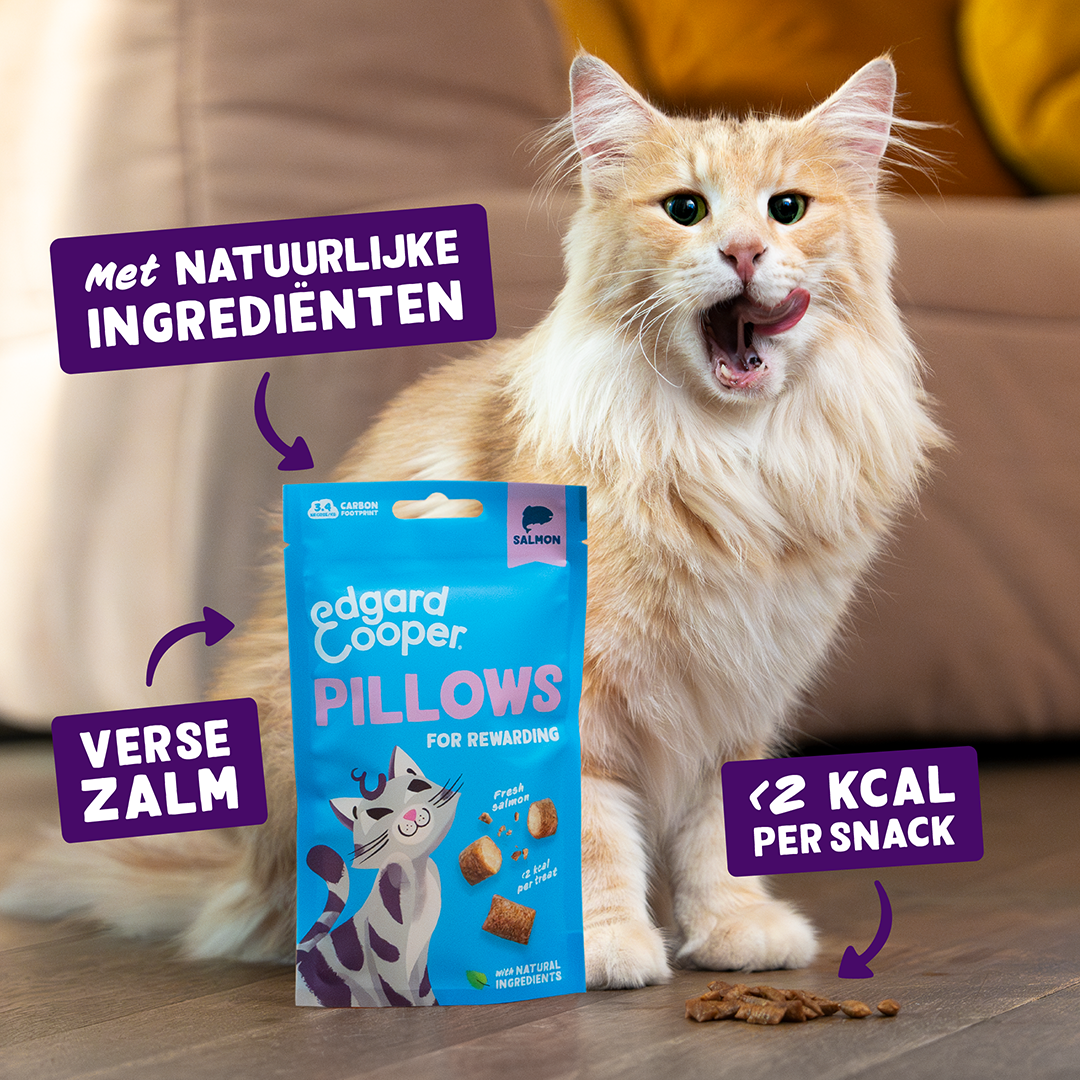 Edgard & Cooper pillow snack zalm