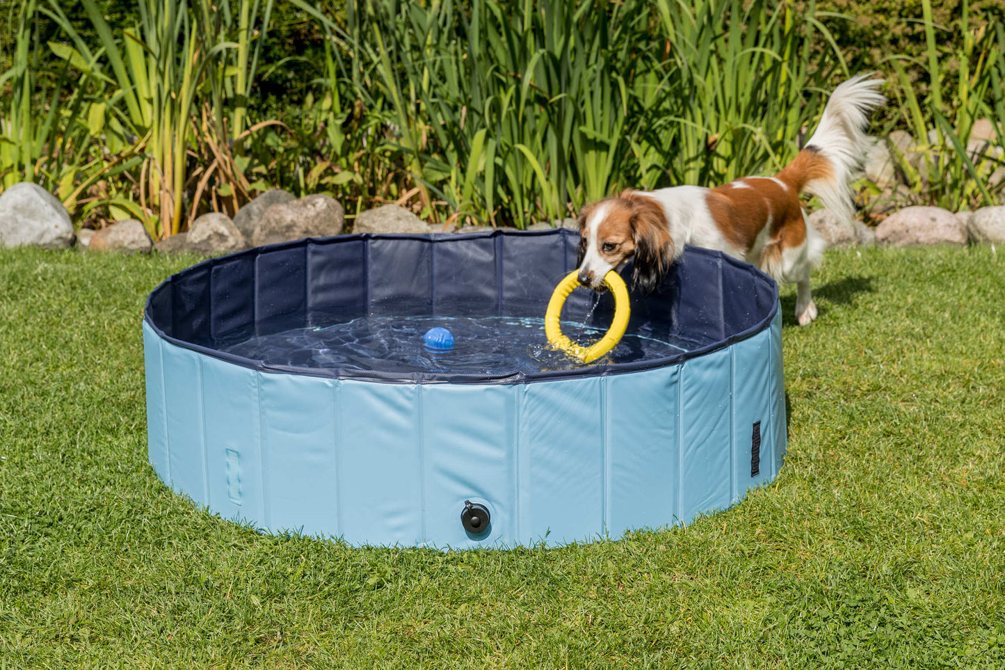Trixie zwembad voor honden
