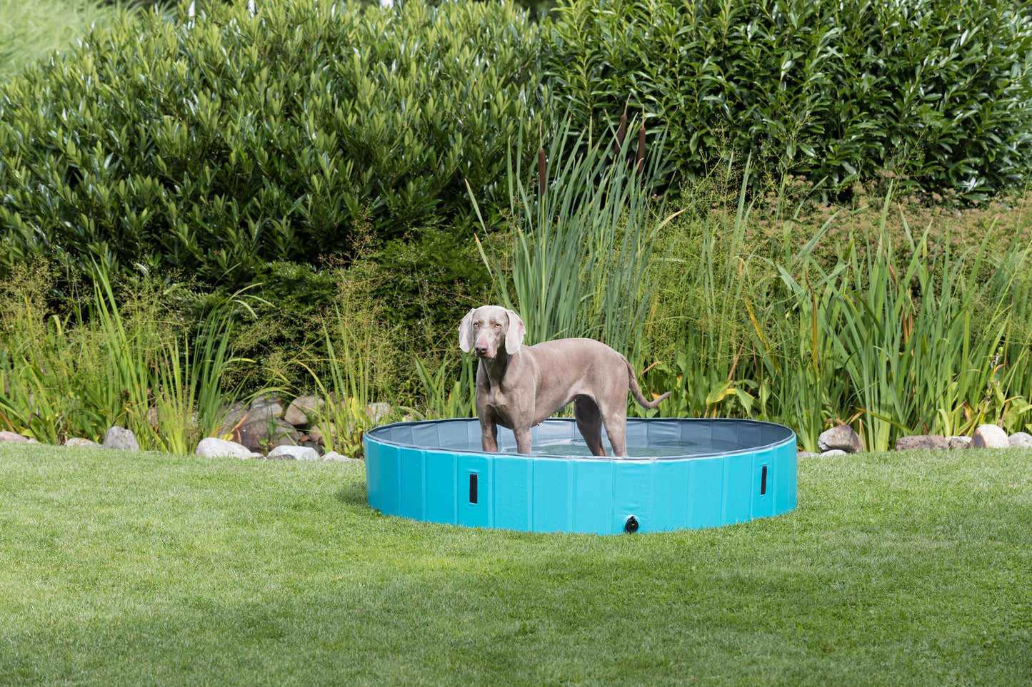 Trixie zwembad voor honden