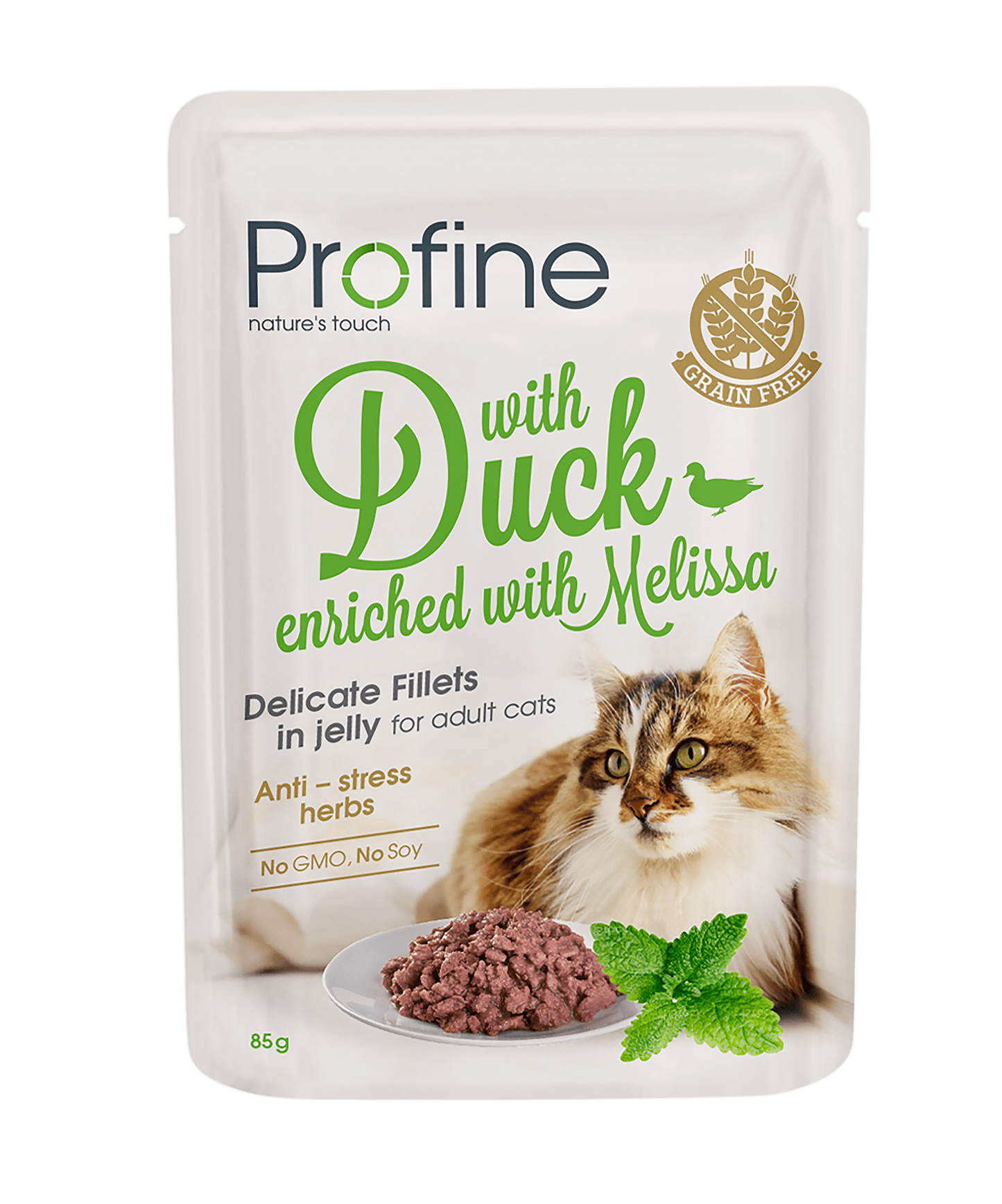 Profine Filet in Jelly Duck