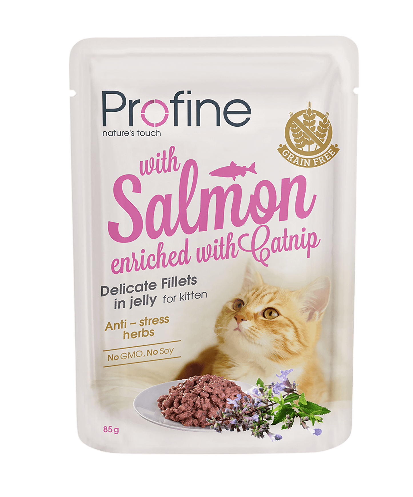 Profine Filet in Jelly Salmon