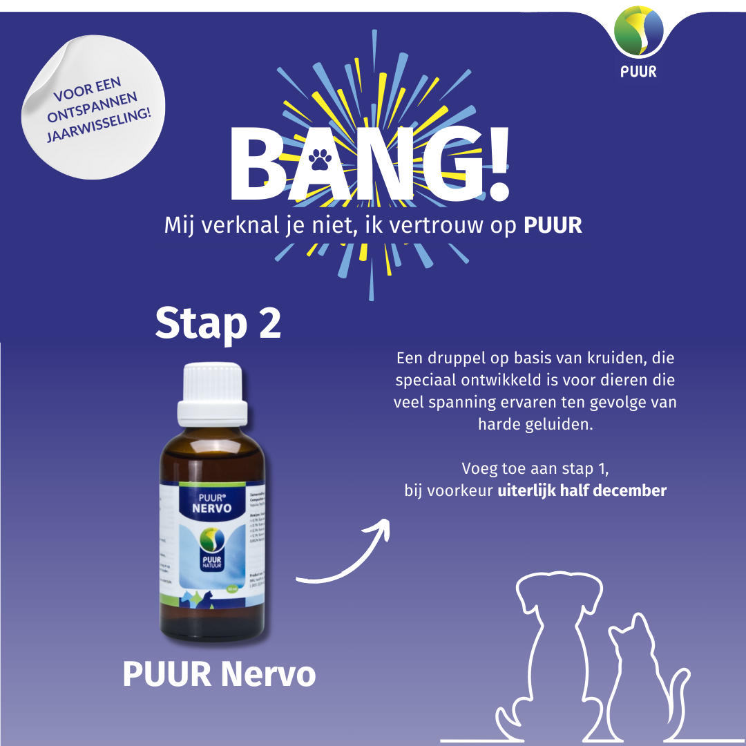 Puur vuurwerkbundel