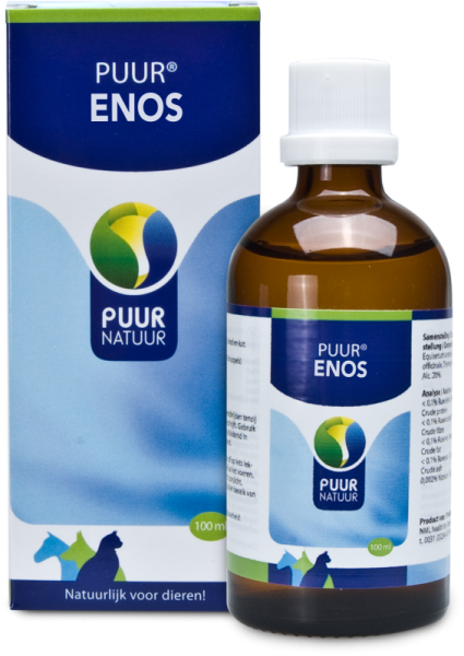 Puur Enos (skelet)