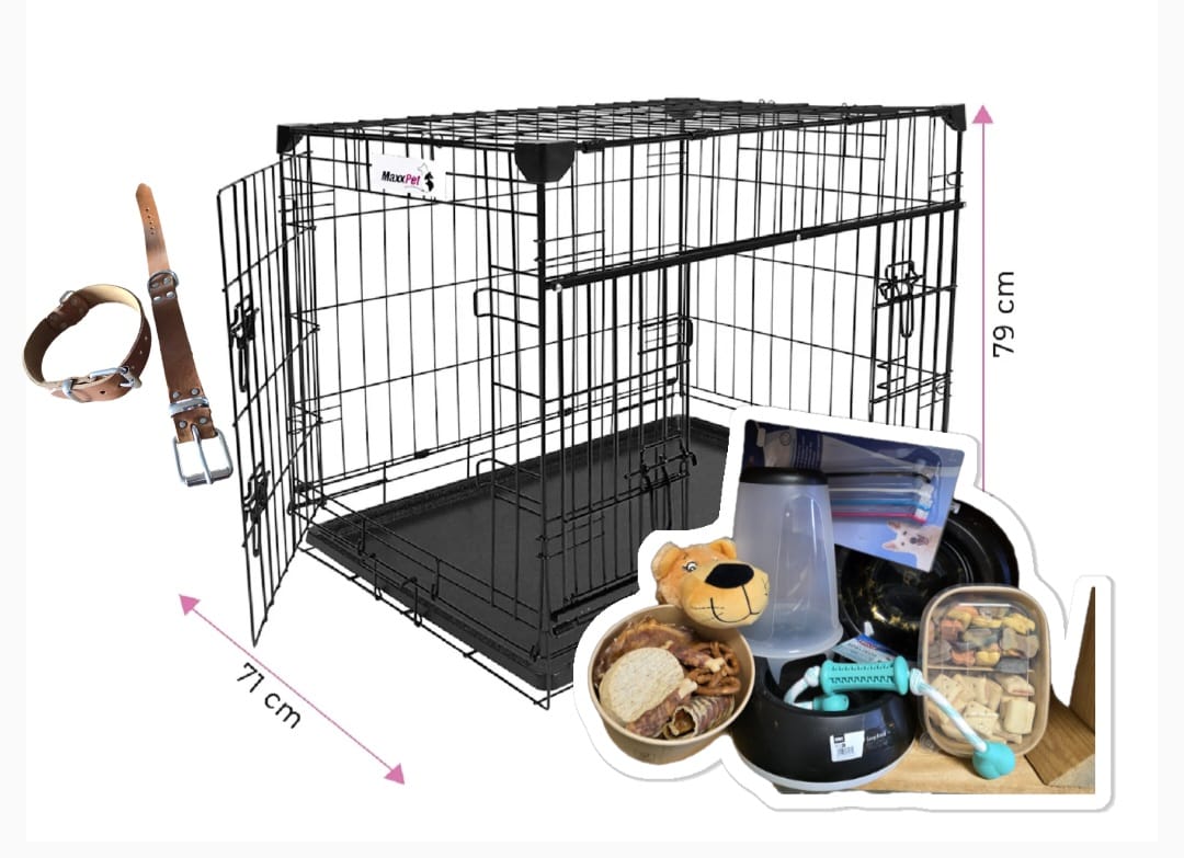 Bij-Zalme starters pakket puppy medium