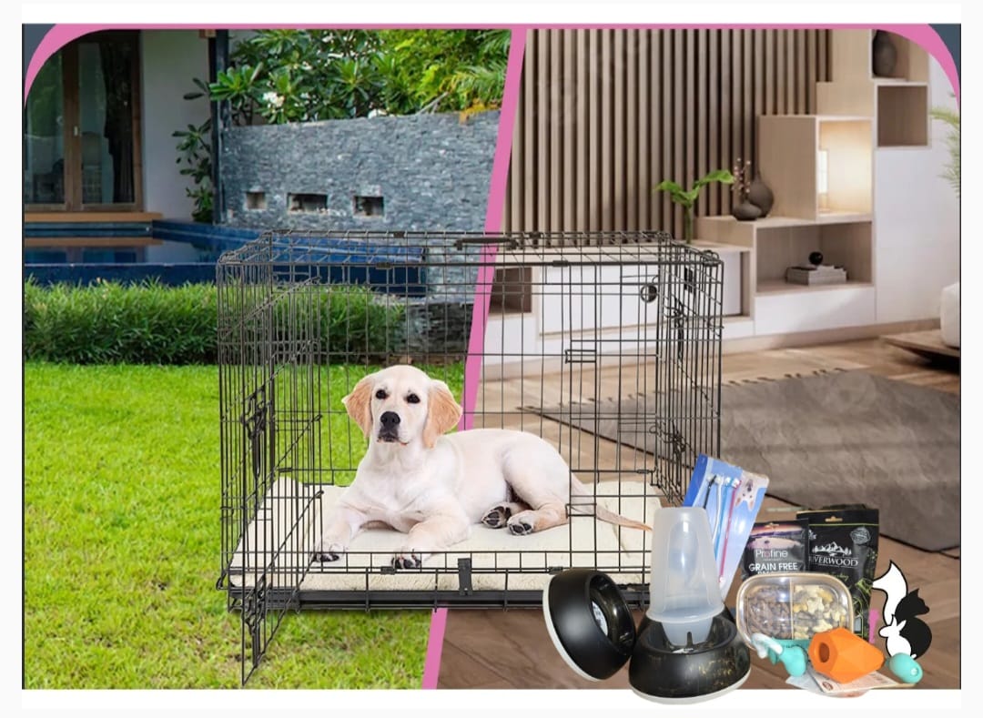 Bij-Zalme starters pakket puppy klein