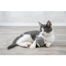 Alles voor de kat