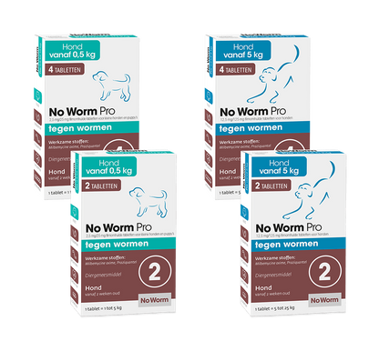 No Worm Pro Hond
