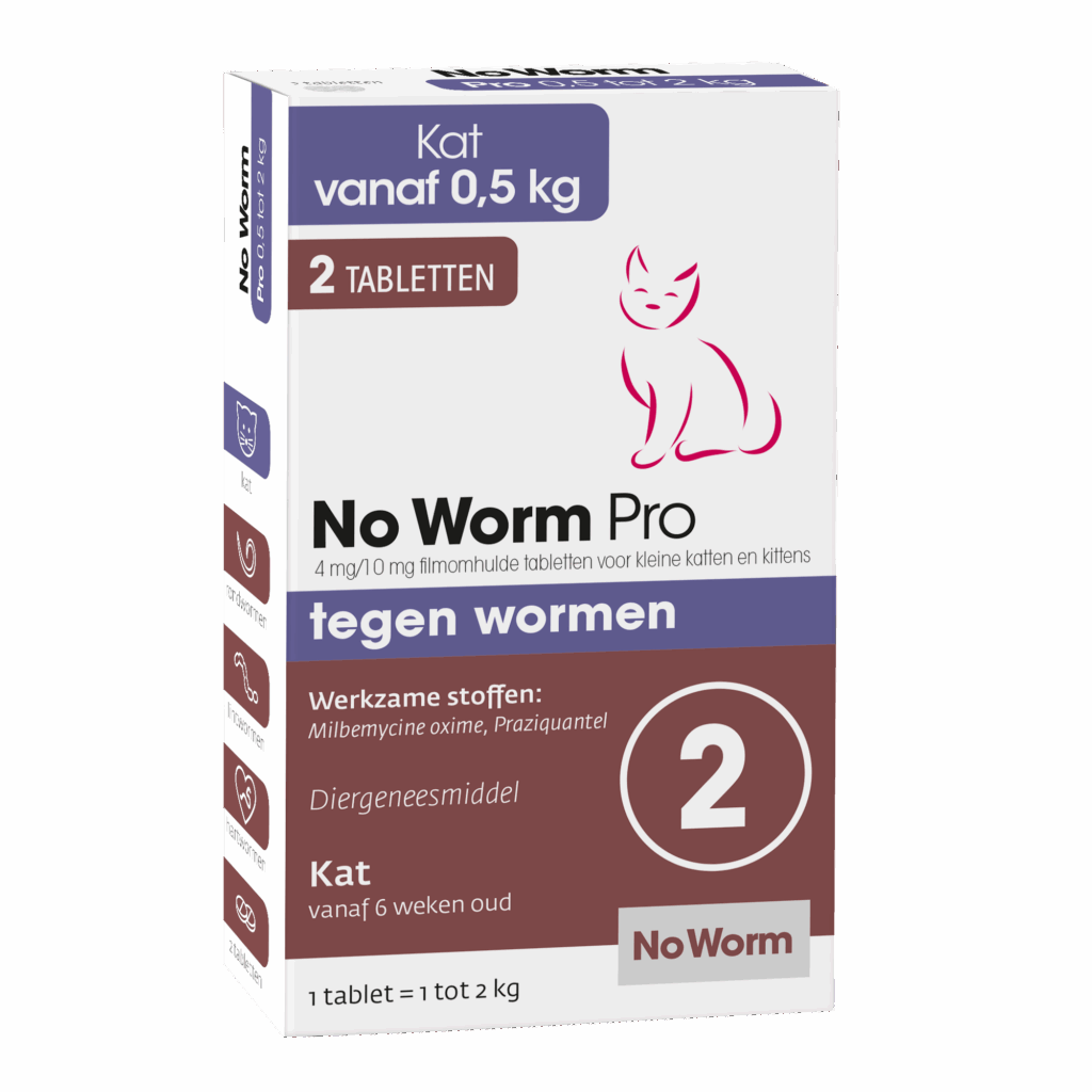 No worm Pro Kat