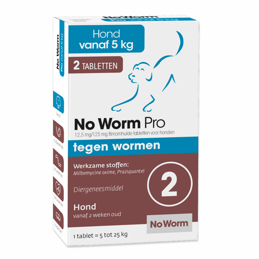 No Worm Pro Hond