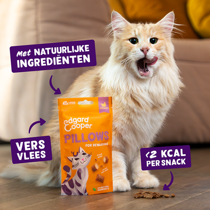 Edgard & Cooper pillow snack kip