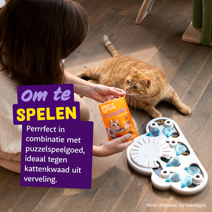 Edgard & Cooper crunchie snack zalm