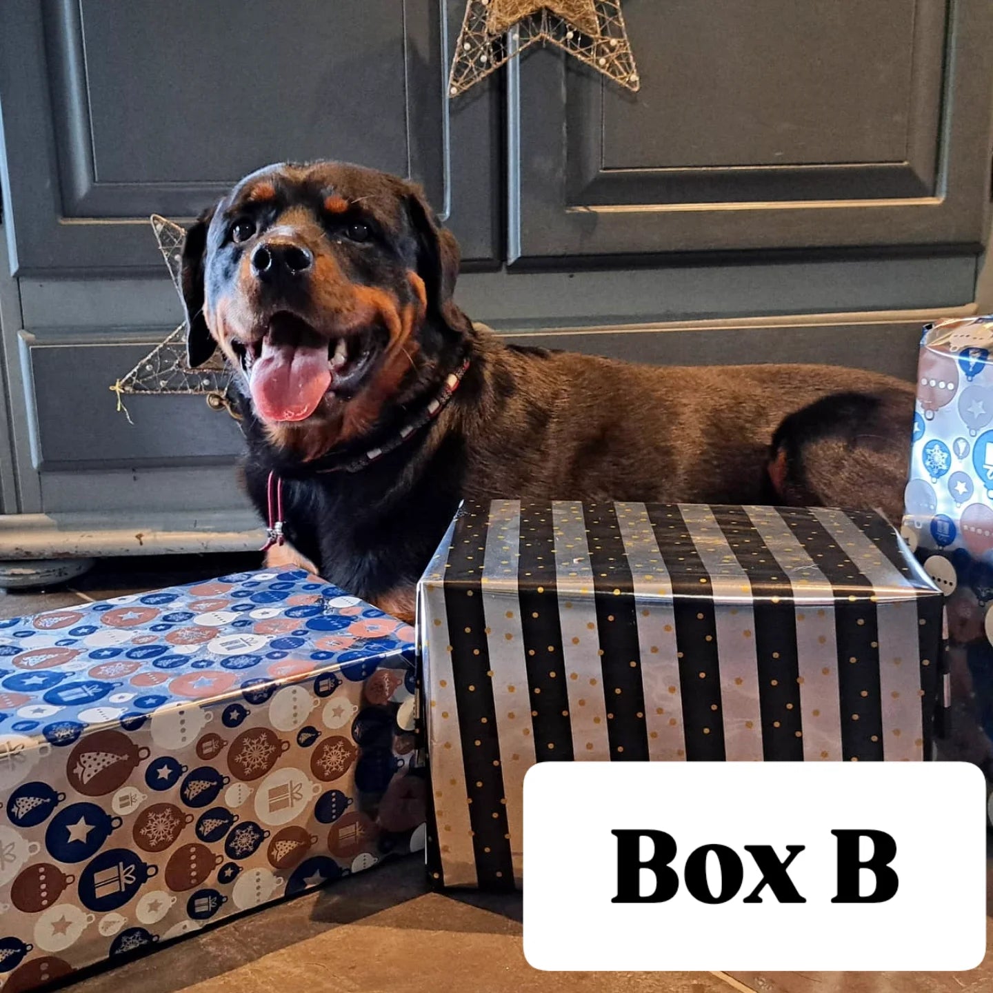 Bij-Zalme Gift Boxen