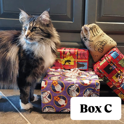Bij-Zalme Gift Boxen