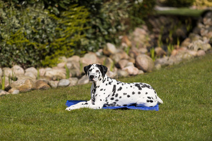 Trixie koelmat blauw