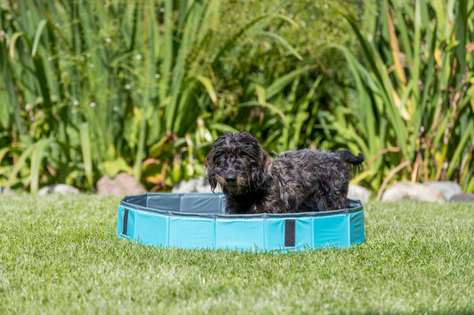 Trixie zwembad voor honden