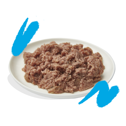 Edgard &Cooper paté adult zalm