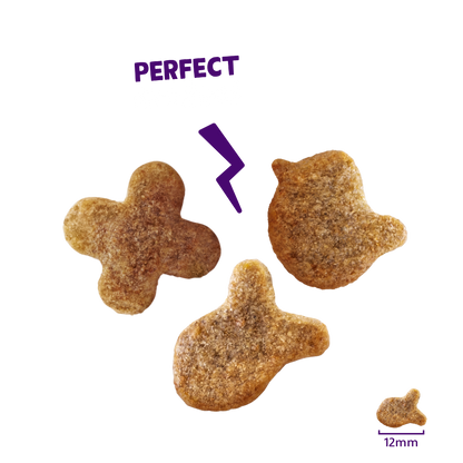 Edgard & Cooper crunchie snack zalm