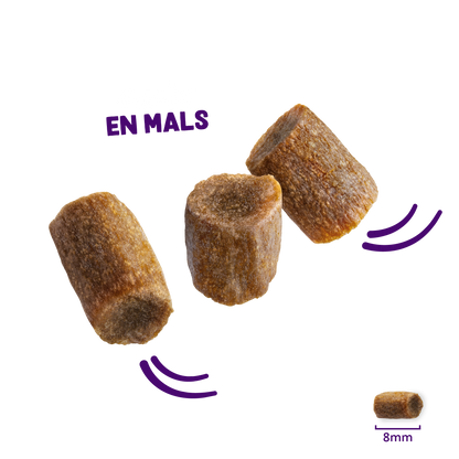 Edgard & Cooper rolls snack zalm