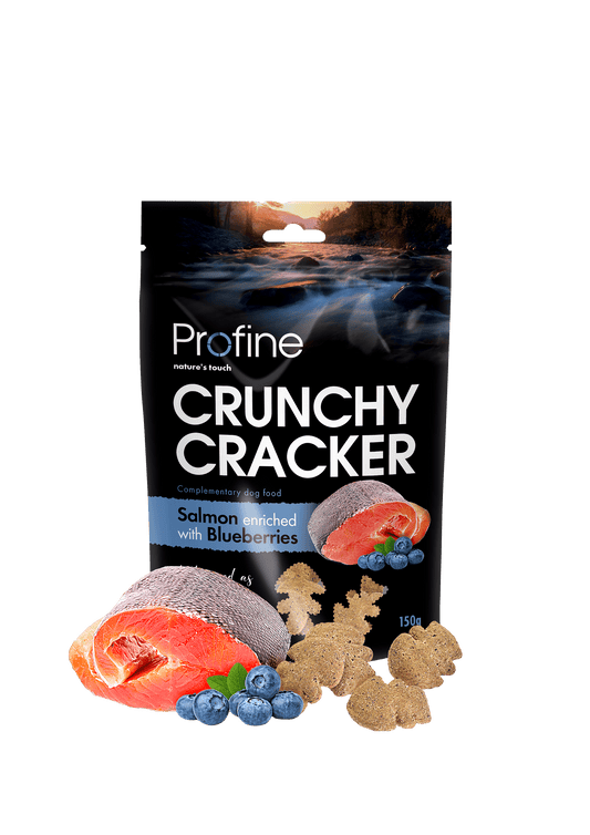 Profine Crunchy Cracker zalm 150 gram