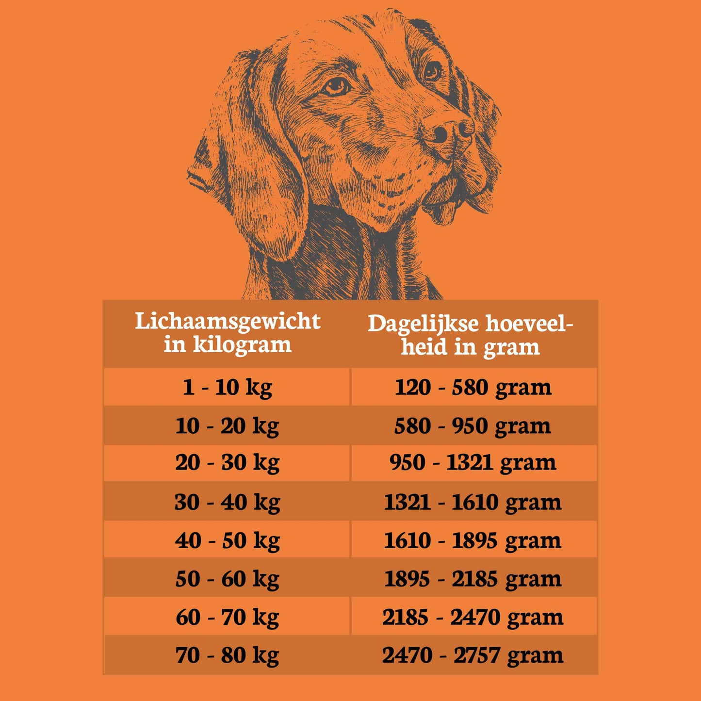 Riverwood meat lam 400 gr