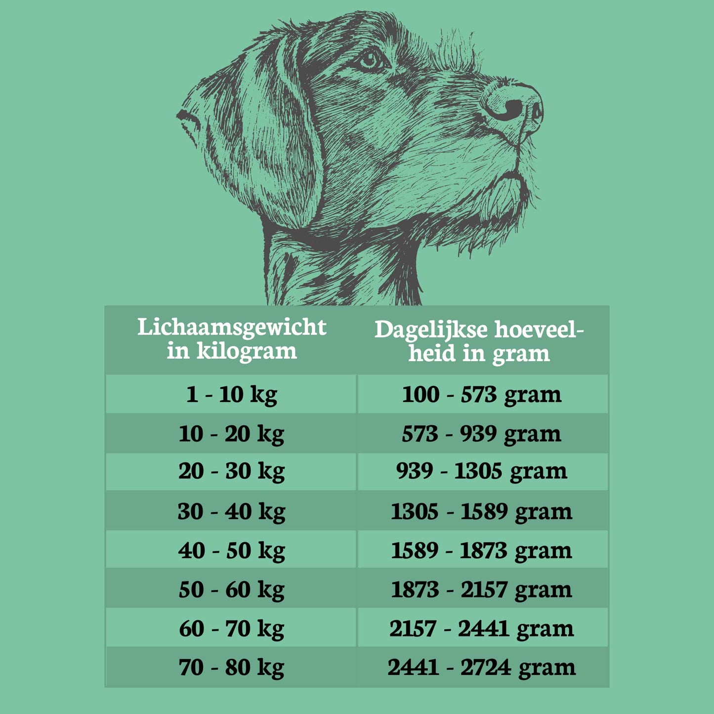 Riverwood meat wild zwijn 400gram