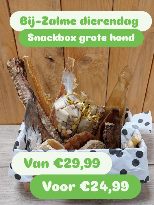 Bij-Zalme dierendag snackbox grote hond