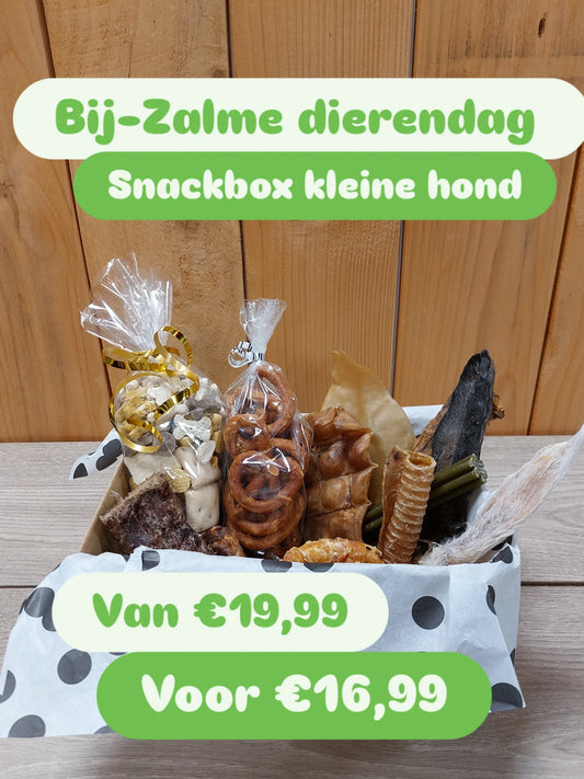Bij-Zalme dierendag snackbox kleine hond